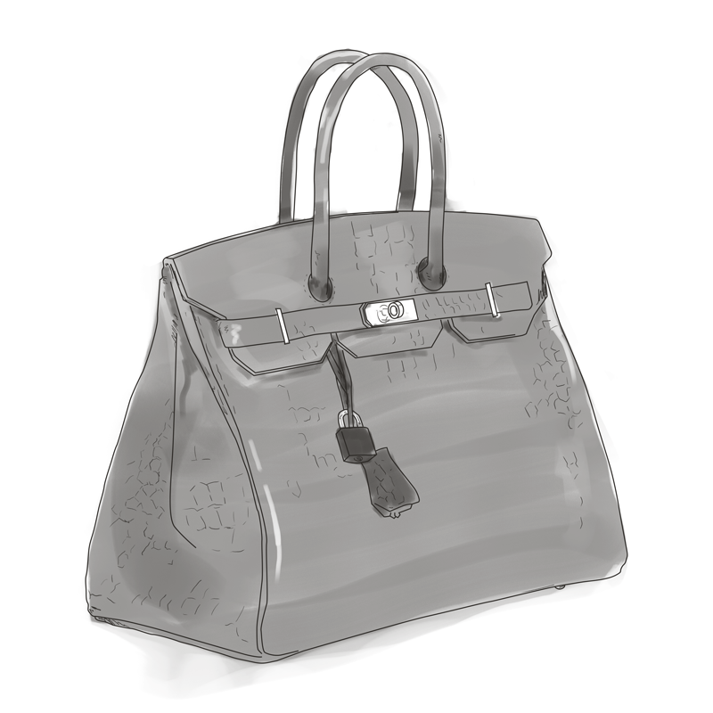 illustration of a Birkin bag