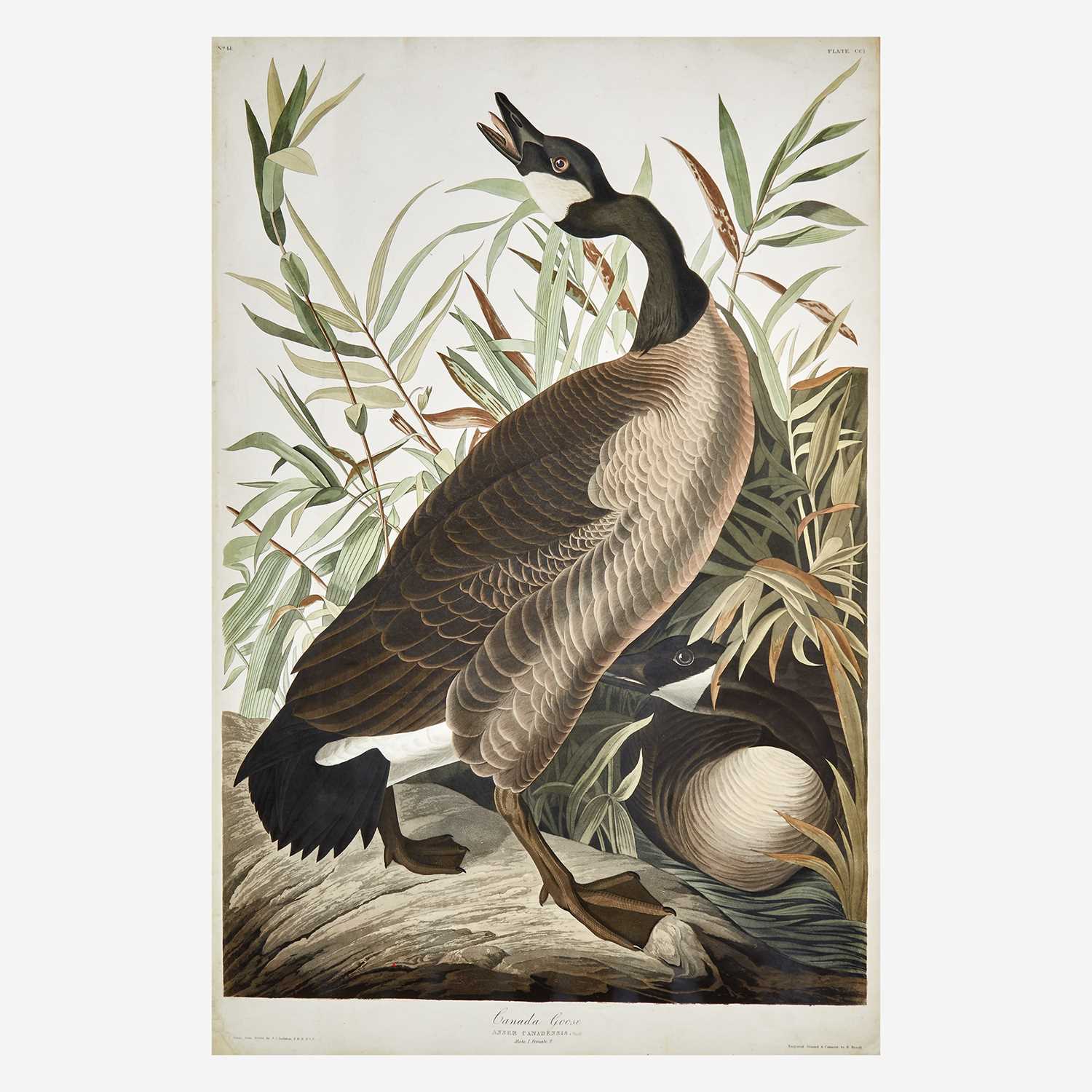 Lot 116 - [Prints] Audubon, J(ohn). J(ames).
