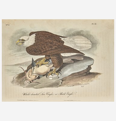 Lot 115 - [Prints] Audubon, John James