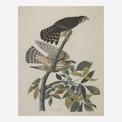 Lot 123 - [Prints] Audubon, John James