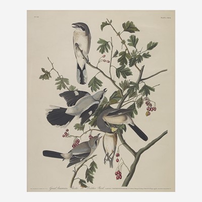 Lot 121 - [Prints] Audubon, John James