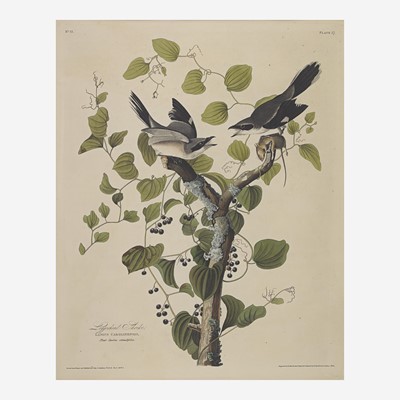 Lot 122 - [Prints] Audubon, John James