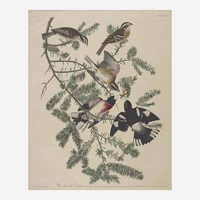 Lot 124 - [Prints] Audubon, John James