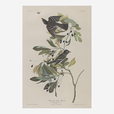 Lot 125 - [Prints] Audubon, John James