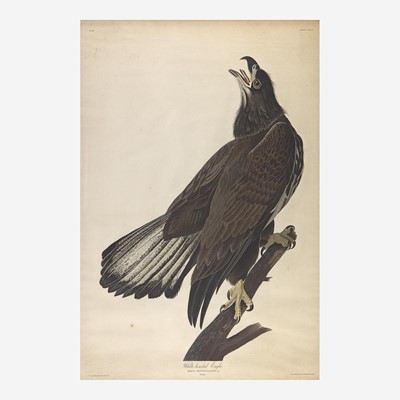 Lot 126 - [Prints] Audubon, John James