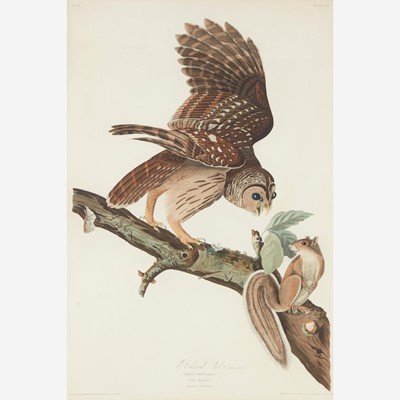 Lot 113 - [Prints] Audubon, John James