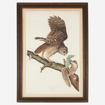 Lot 113 - [Prints] Audubon, John James