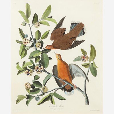 Lot 119 - [Prints] Audubon, J(ohn). J(ames).