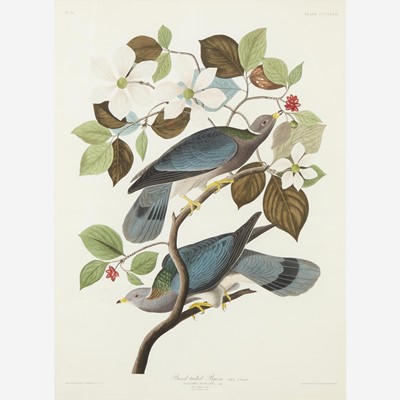 Lot 112 - [Prints] Audubon, J(ohn). J(ames).