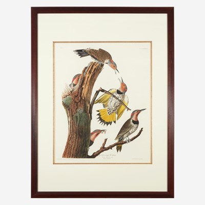 Lot 114 - [Prints] Audubon, John J(ames).