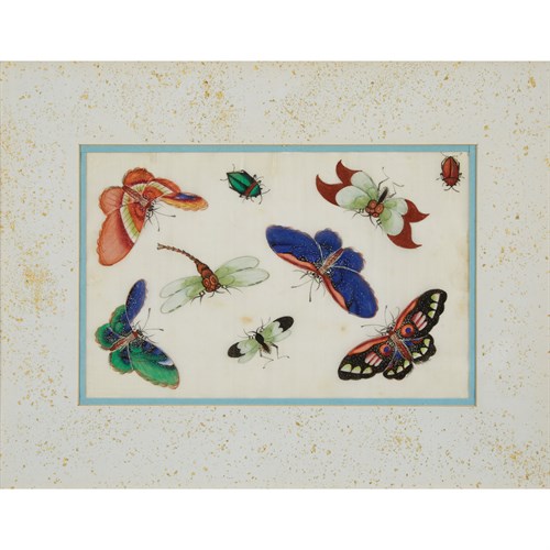 Lot 110 - Ten framed Chinese paintings of butterflies and other insects on rice paper