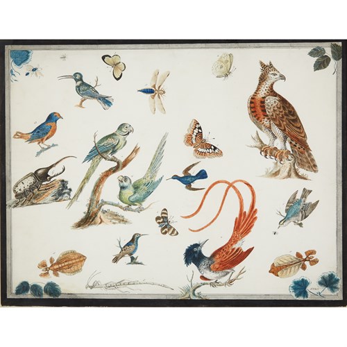 Lot 82 - 2 Pieces. Hand-colored Ornithological...