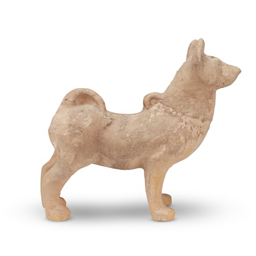 Lot 234 - Chinese pottery figure of a dog